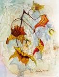 by Delores Herringshaw