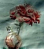 by Dana Koffenberger