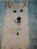 by Dawn Moir-Harris 