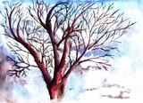 by chris elliott