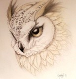 by Christine Cholowsky