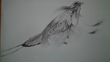 by Hosein Abaceiy