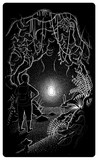 by Rob Wills