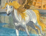 by Tami Kannenberg