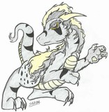 by Sami Gingerkat