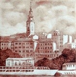 by Predrag Milosevic Pedja