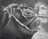 by John Houle