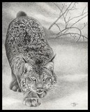 by John Houle