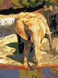 by Lyle  Kroll