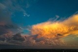 by Max Shumsky