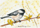 by Laura Horning