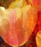 by Jennifer Willoughby