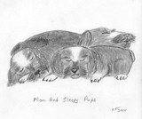 by Nancy Tews