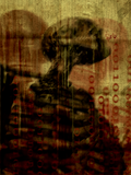 by Amon da Conceição 