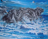 by Merideth Van Every
