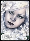by Rebecca Sinz