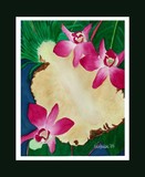 by Nancy Woolweber