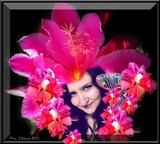 by Nira Dabush