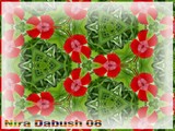 by Nira Dabush