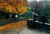 by mihail uss