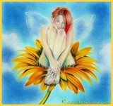 by Katerina Koukiotis