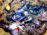 by geri pratt