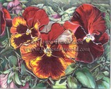 by Joyce Hutchinson