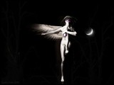 by Cynthia Fisher