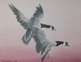 by Gail Nordlof