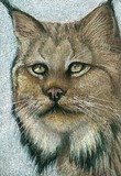 by Tammy Kuenzli