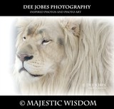 by DEE JOBES PHOTOGRAPHY