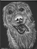 by melina furlong