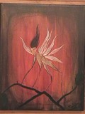 by Suzanne Tootill