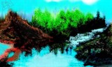 by roger  crownover