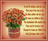 by Patty Day