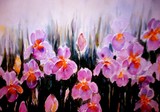 by Nelly van Nieuwenhuijzen