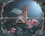 by Rachael Tallamy