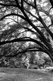 by Brandi Mays