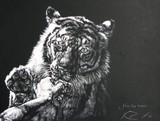 by Katie Z