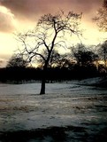 by Joseph Aprile