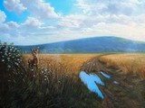 by attila karácsony