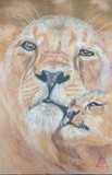 by jay dawn