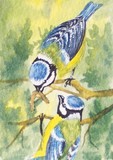 by Pamela West
