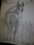 by Naomi Santiago de Malave