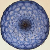 by Cathy Savels