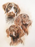 by Barbara Keith