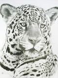 by Barbara Keith