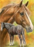 by Barbara Keith