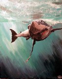 by Roy Ruiters