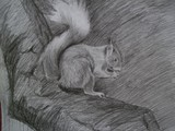 by Shiena Piñon